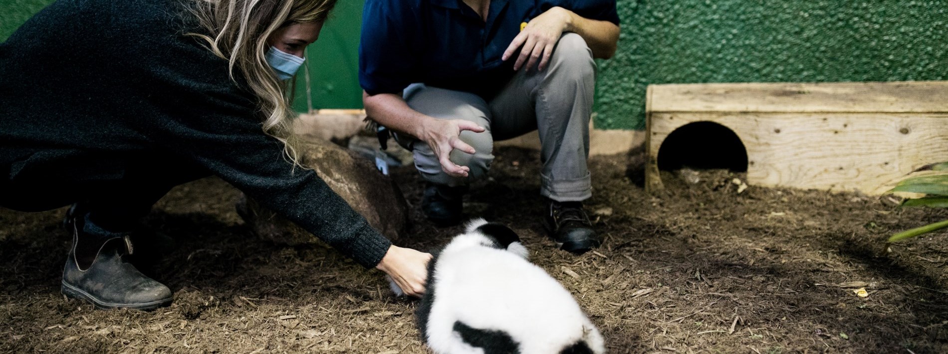 two people looking at animal