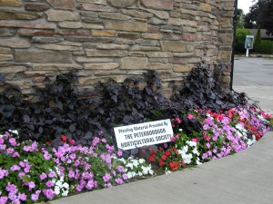 Front garden with pink and purple flowers and a wooden sign donated by the horticultural society