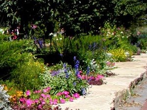 Summer flowers and shrubs and tress along the pathway to the train