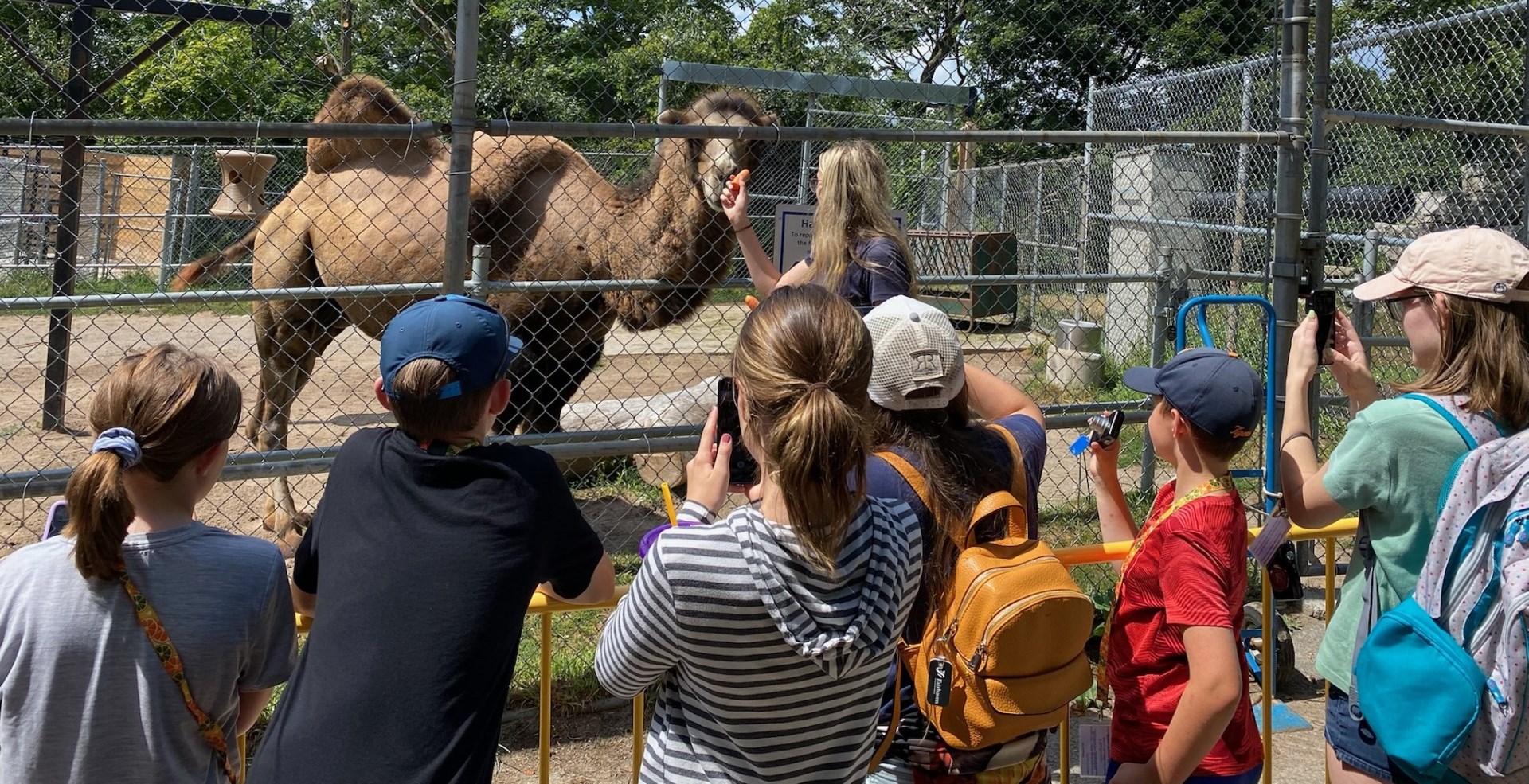 zookeeper and a group of children taking photos in front of the camel exhibit