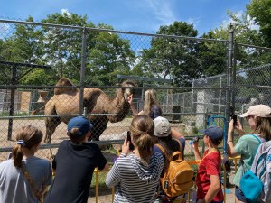 Children visiting the camel exhibit
