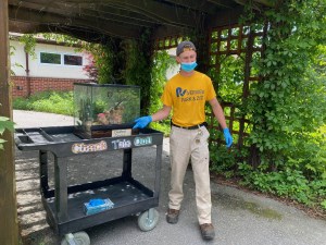 Zookeeper with Gecko