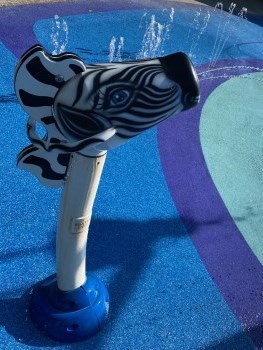 zebra water sprayer in the splash pad