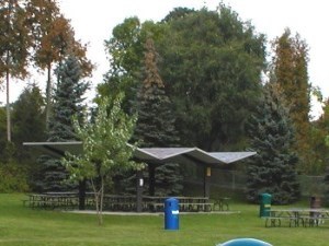 covered picnic shelter with picnic tables surrounded by trees