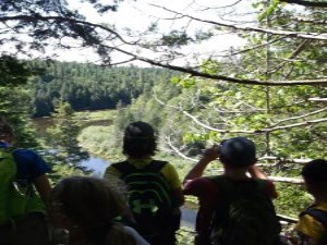 Warsaw cave scenery in summer with kids looking out