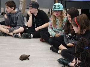 children watching turtles cross the floor