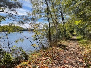 section of the walking trail along the Otonabee River in the fall
