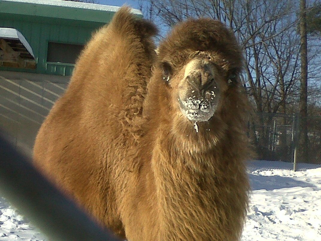 Help get us over the hump!