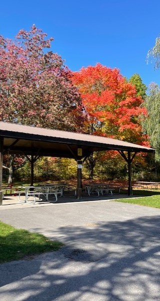 Picnic Shelter 2