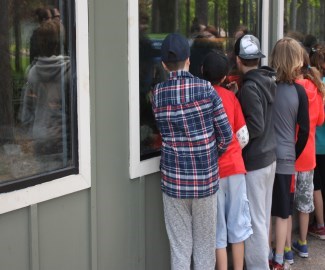 Zoo Academy participants with their hands up to answer questions