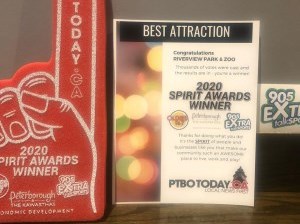 spirit award plaque for best attraction 2020 