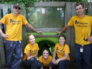 staff members at the top of the green super slide