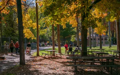 People wander through a zoo park area with tall trees on an autumn day