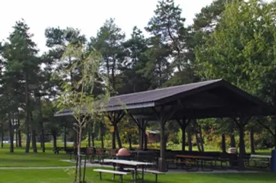 Covered picnic shelter with picnic tables and shade trees