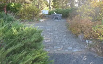 Sun shining through trees and shrubs along a path that leads to the sundial