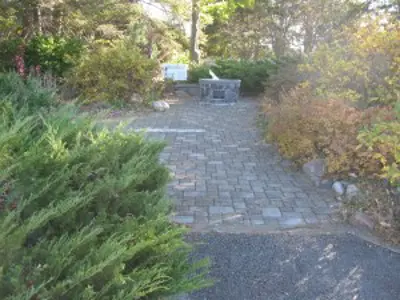 Sun shining through trees and shrubs along a path that leads to the sundial