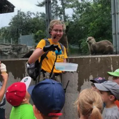 Feeding the Otters