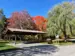 covered picnic shelter with accessible picnic tables